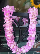 Double Strand Light Pink Orchid Lei Graduation 