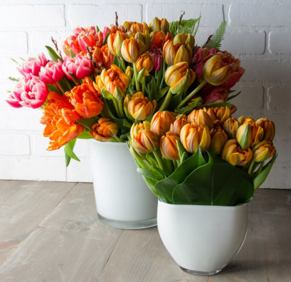 Double Tulips in a vase  Please let us know your Color preference 