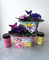 Double Violet Gift Set