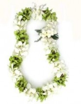 Double White & Green Orchid Lei 