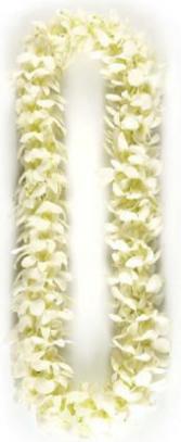 Double White Orchid Lei Lei