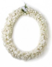 double white orchid lei lei