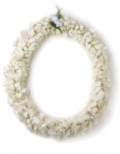 double white orchid lei lei in Mcminnville, OR | POSEYLAND FLORIST