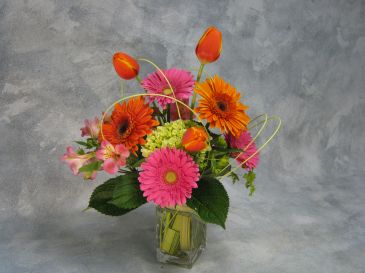 Downtown Diva Hydrangea, Gerbera, Tulip in Ithaca, NY | BUSINESS IS BLOOMING