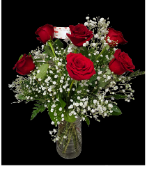 ½Doz Red Roses  