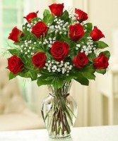 Doz Red Roses 