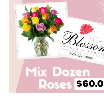 DOZE  ROSES  DOZEN MIX ROSES SPECIAL  in Trumann, AR | Blossom Events & Florist