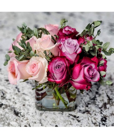 Dozen 2Tone Roses  in Rutland, VT | Exotica Flowerz