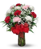Dozen Assorted Carnations 