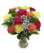 Dozen Assorted Carnations 