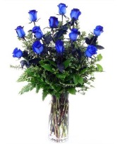 Dozen Blue Roses 