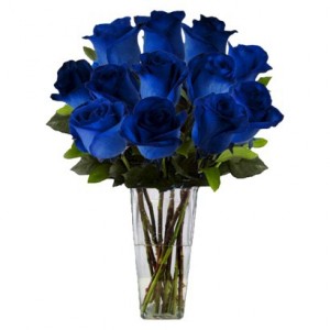 DOZEN BLUE ROSES