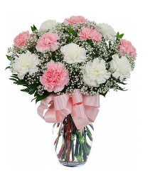 Dozen Carnations 