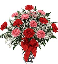 Dozen Carnations in Vase