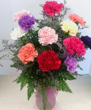 Dozen Carnations  NFS-A46 Vase arrangement