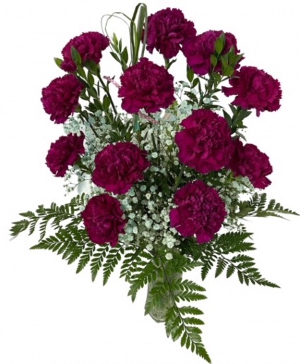 Dozen Carnations Vase Arrangement 