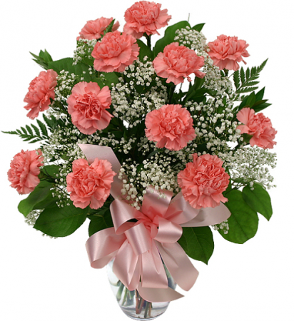Dozen Carnations Vase Arrangement