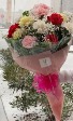 Dozen Carnations WRAPPED _-Mix 