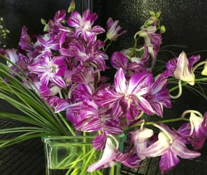 Dozen Exotic Orchid Arrangement/Colors vary 