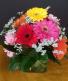 Dozen Gerbera Daisies In Cube 