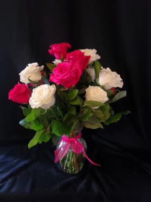 Dozen Hot Pink and white roses Valentine