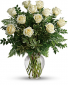 Dozen long stem white roses Every day