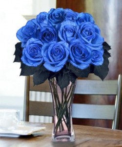 Long Stemmed Blue Roses 
