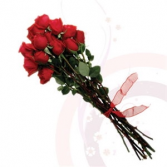 Dozen long stemmed red roses 12 loose long stemmed open-cut red rosesTop grade,Premium Ecuadorian roses -- variety, -Explorer 