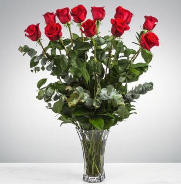 12 Long Stemmed Red Roses  in Frederick, MD | Maryland Florals