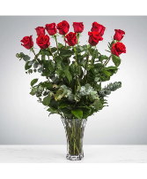 Dozen Long Stemmed Red Roses 