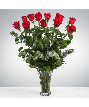 Dozen Long Stemmed Red Roses 