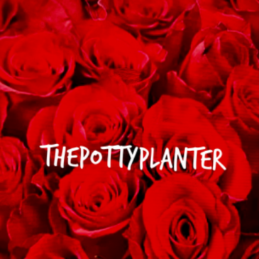 Dozen Long Stemmed Roses To arrange in your own vase