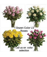 1 Dozen LS Color Roses Floral Bouquet