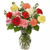 Colorful Carnations 