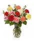 Dozen Mixed Carnations Flowers