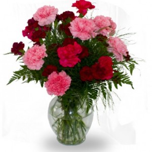 Dozen Mixed Carnations in Vase  Mixed colors,*  colors may vary 
