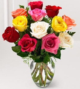 Vibrant Colored Roses 