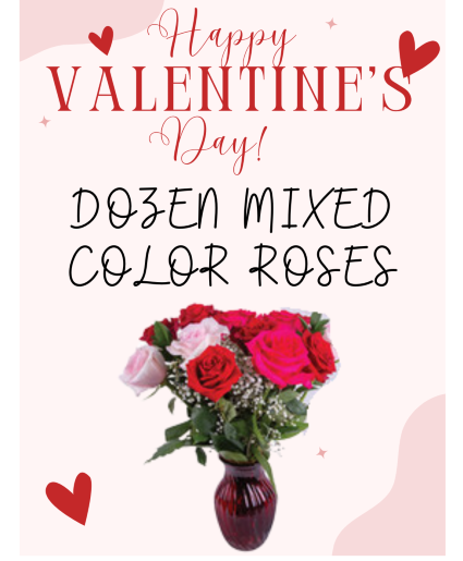 Dozen mixed roses for Valentine's Day 