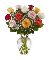 Dozen Mixed Roses Vase Arrangement