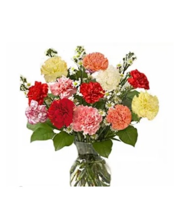 Dozen of colorful carnations Deal of the day in Pensacola, FL | Cordova Flowers and Gifts