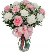 Dozen Pink and White Carnations  
