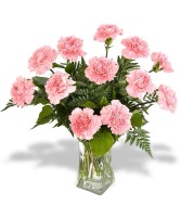 Dozen Pink Carnation Arrangement 