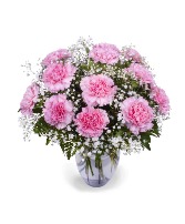 DOZEN PINK CARNS fresh arrangement