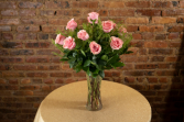 Dozen Pink Long Stem Roses 
