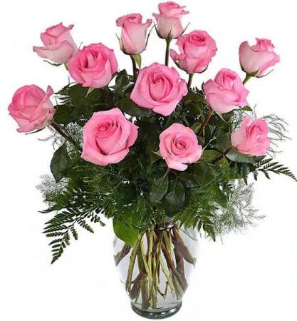 Pink Roses  
