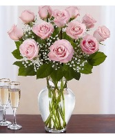 Dozen Roses 