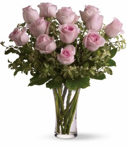 Dozen Pink Roses H12Z107A