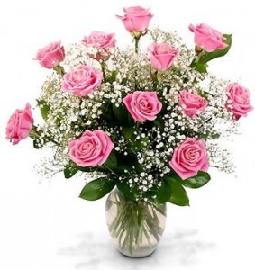 DOZEN PINK ROSES