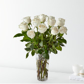 Dozen Premium White Roses 