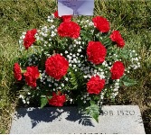 Dozen Radiant Red Carnations Gravesite Grave Site Flowers 